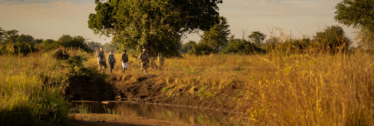  Walking along the riverbanks in the Luambe National Park