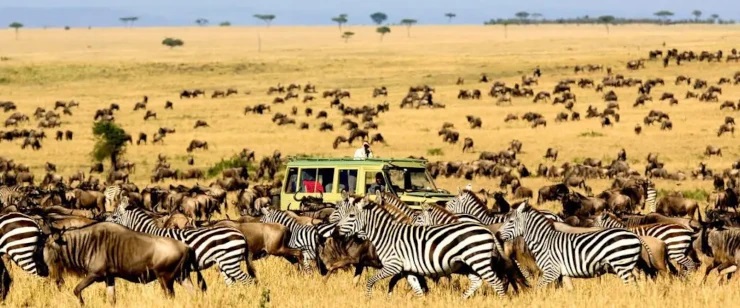 Game Drive in the Masai Mara Game Reserve