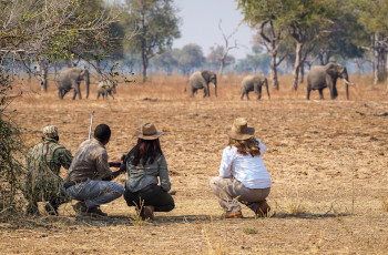 With Robin Pope Safaris in the South Luangwa, Zambia, guests walk from one permanent camp to another
