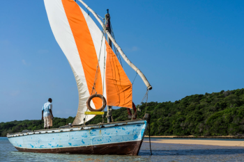 Traditional Dhow Cruise