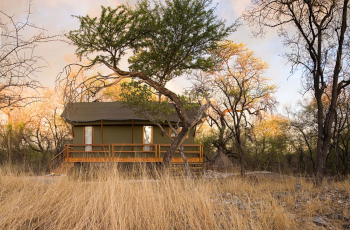 Luxury Tented Accommodation at Mushara Outpost