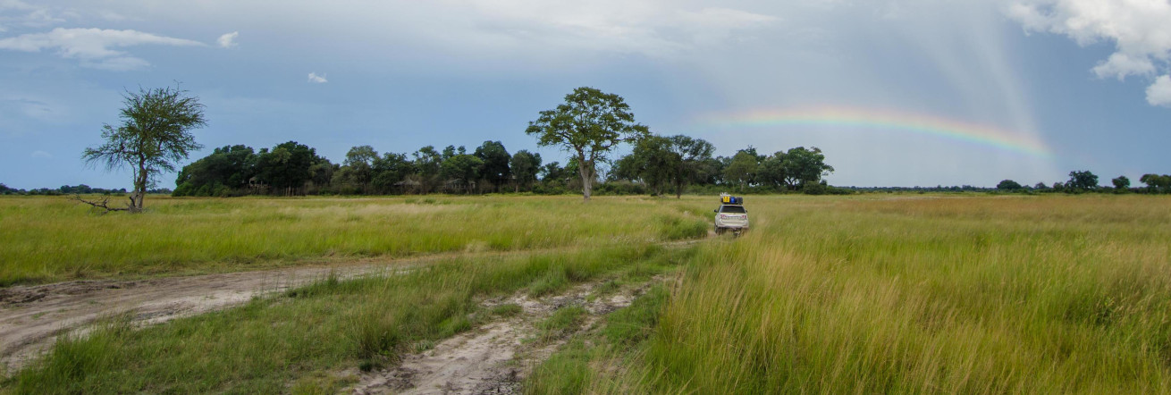 Game drives at Nambwa Tented Lodge