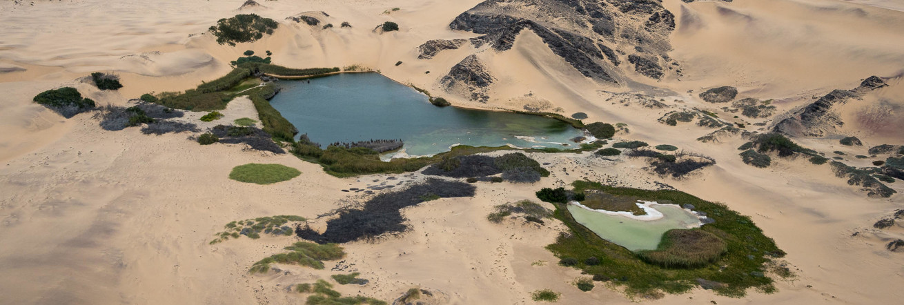 A rare fresh water source by Wilderness Hoanib Skeleton Coast Camp
