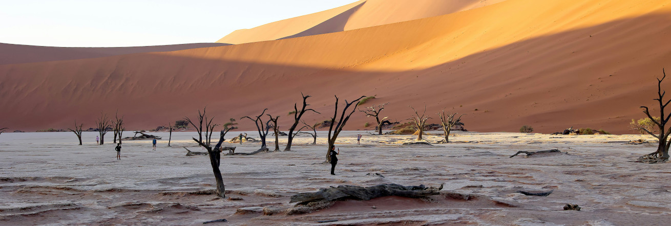Dead Vlei in the Sossusvlei area, Namibia