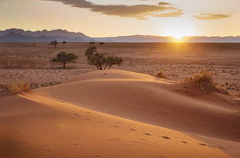 Namibia has drastically varied desert landscapes