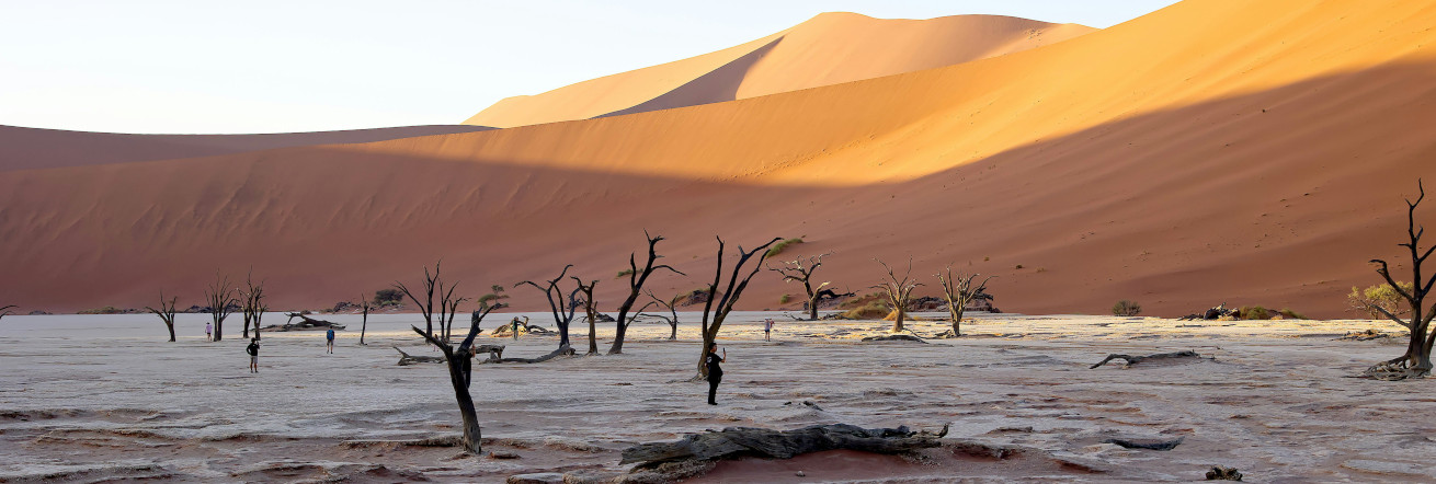 Dead Vlei and the famous red dunes in Sossusvlei, Namibia