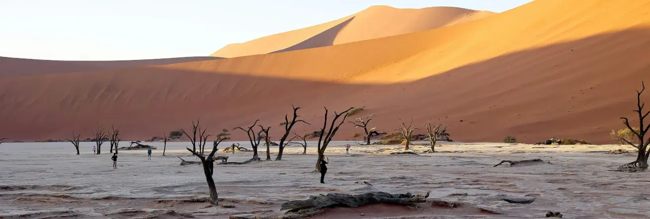 Dead Vlei and the famous red dunes in Sossusvlei, Namibia