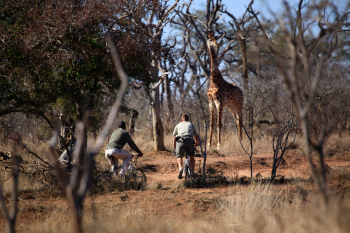 Mountain Biking at Ndlovu Camp