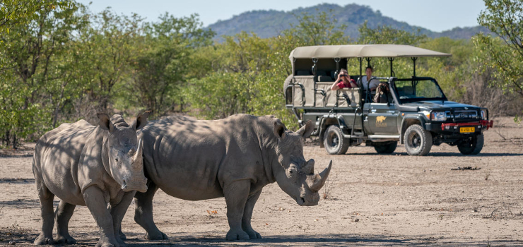 White rhino seen from near Ongava Lodge