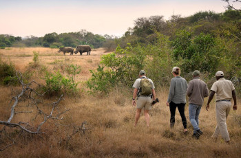 On a game walk through the Phinda Private Game Reserve