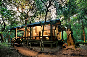 A luxury retreat in the Phinda Game Reserve