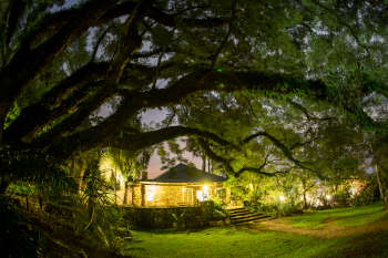 Reilly's Rock Lodge Gardens