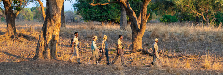 Beautiful scenery on your walking safari in South Luangwa National Park, Zambia