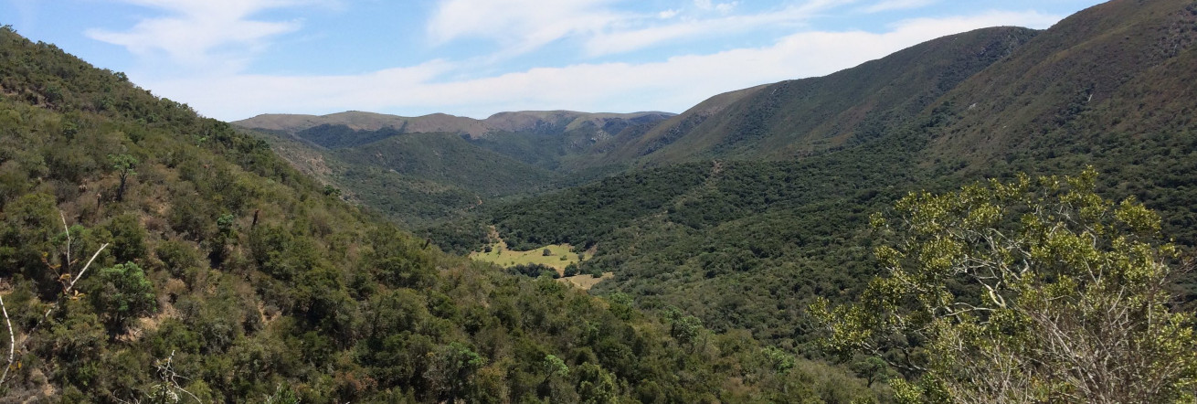 Addo Elephant National Park, SANParks