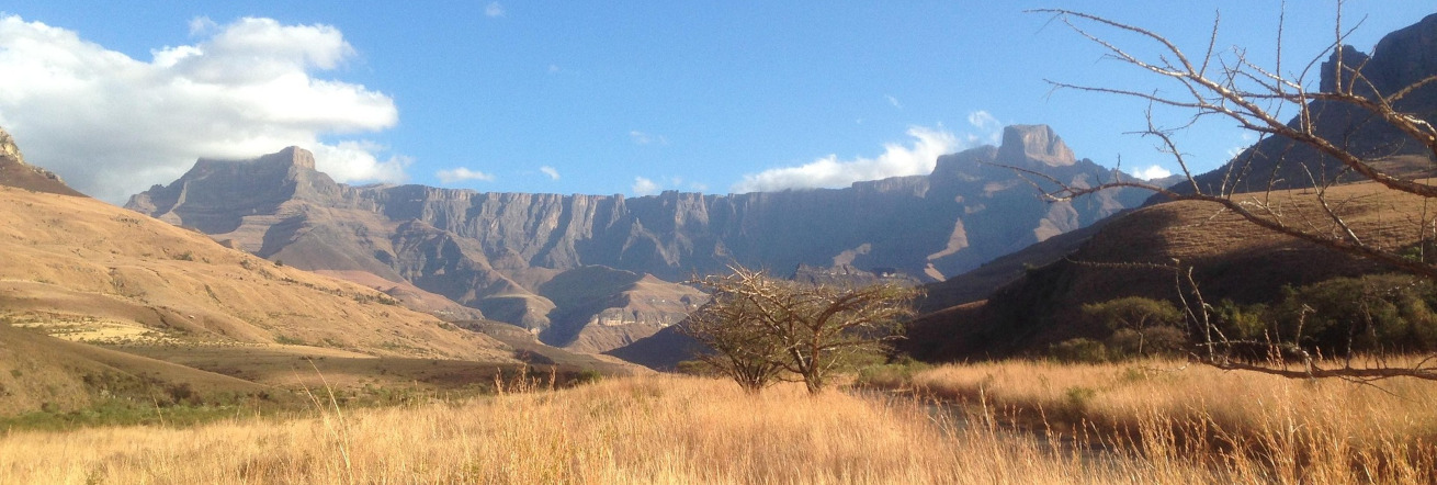 The Amphitheatre in the Northern Drakensberg