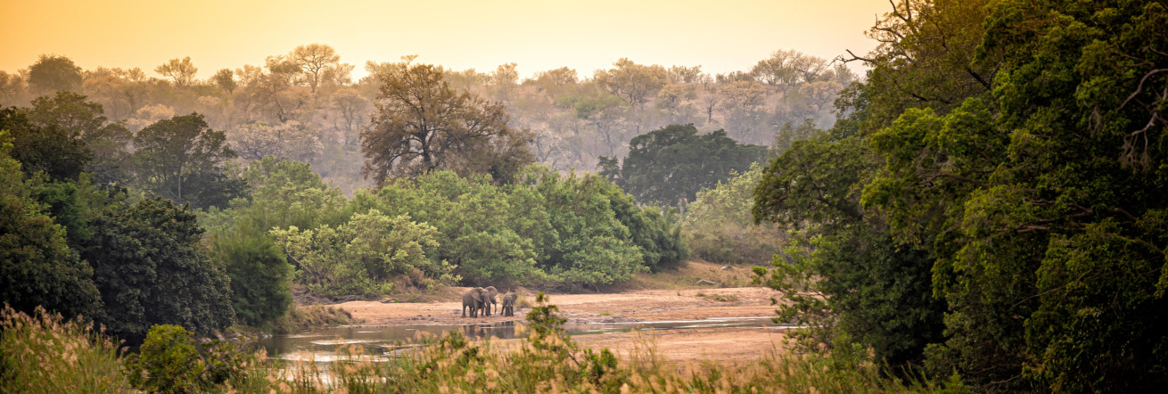 Sunrise over the river, Rhino Post Safari Lodge