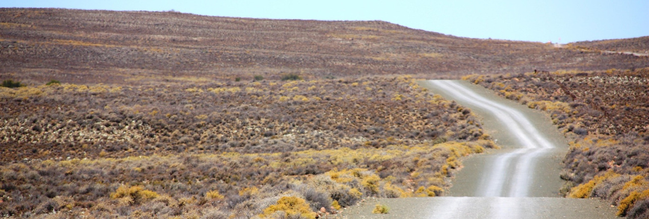 A lonely road in the middle of the Karoo