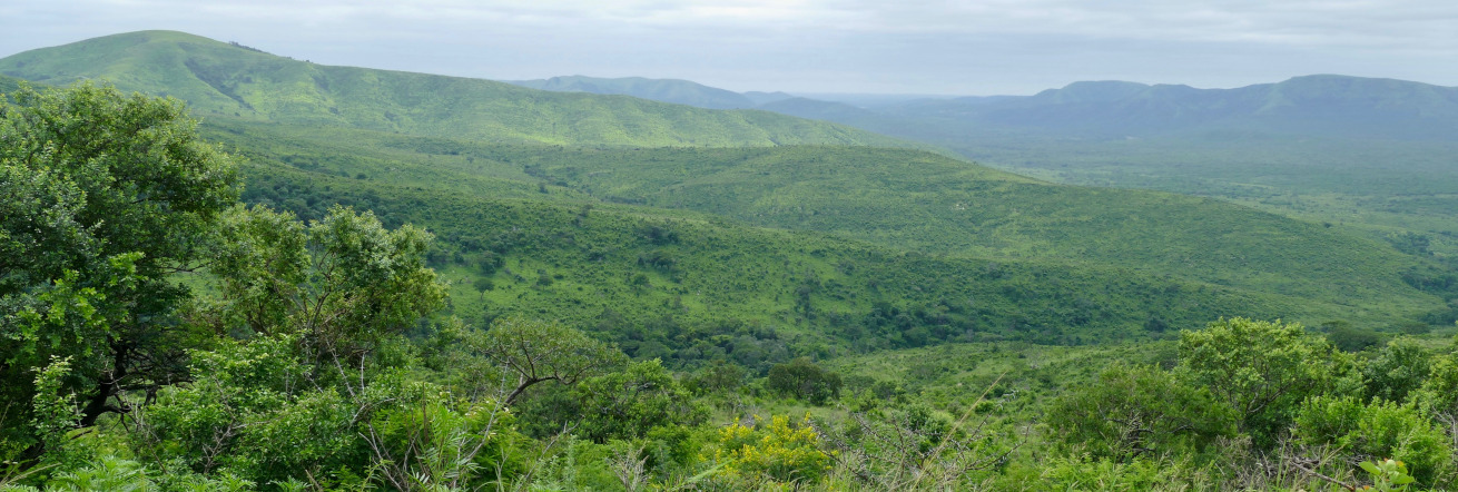Hluhluwe Imfolozi Park, Zululand