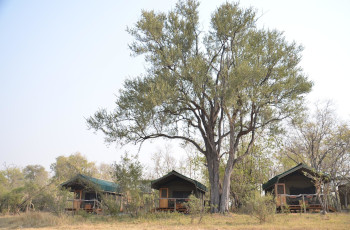Sango Safari Camp tents