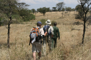 Enjoy the beautiful landscapes as you traverse the Serengeti