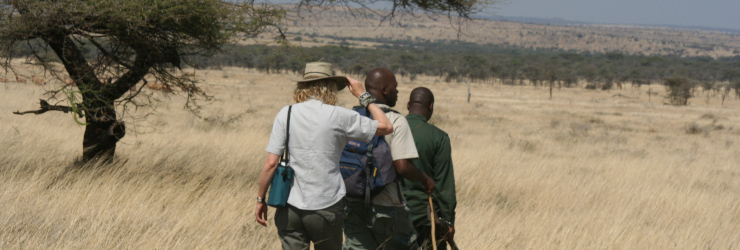 Walking through the famous Serengeti National Park