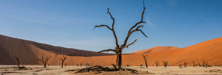 The famous red dunes in Sossusvlei, Namibia