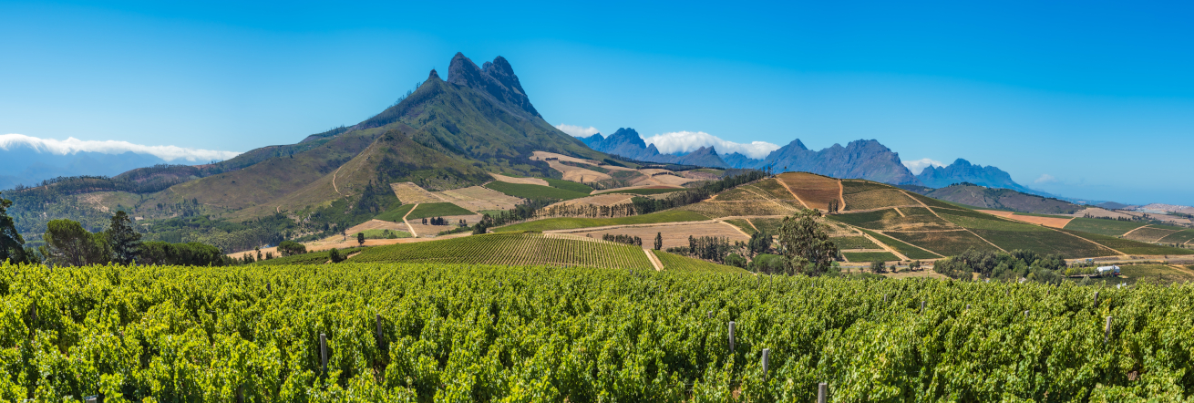 The Cape Winelands are stunning and a great addition to any holilday