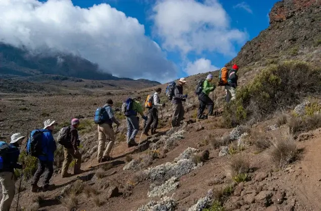 Trekkers making their way up Kilimanjaro