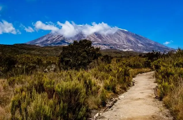 Views going up Mount Kilimanjaro
