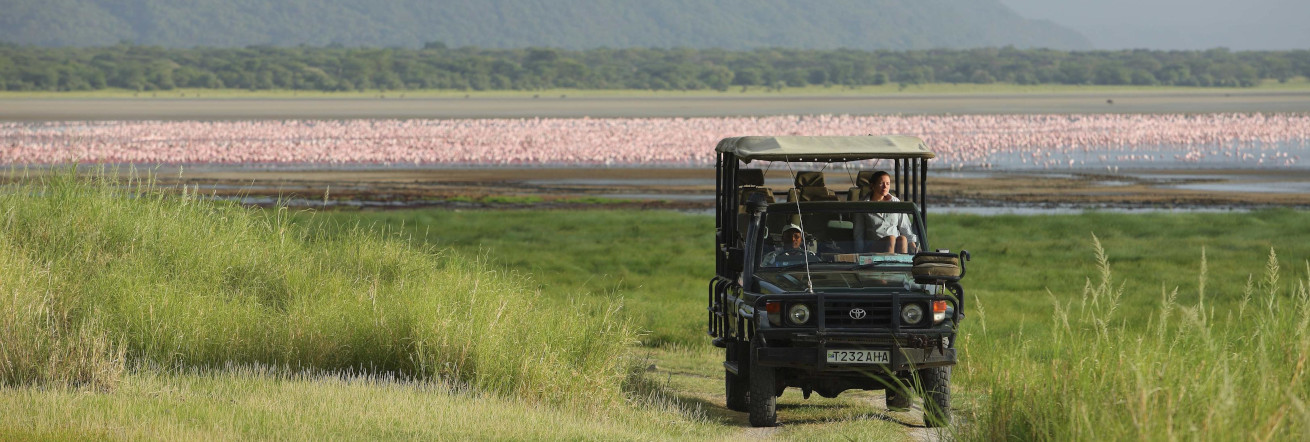 Flamigos on the shores of Lake Manyara, andBeyond Lake Manyara Tree Lodge