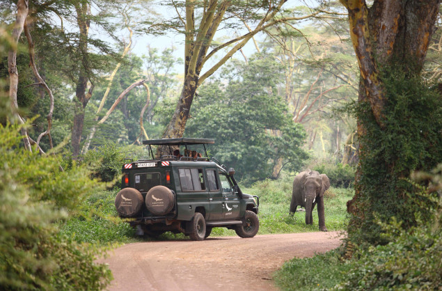 Elephant encounter on safari with andBeyond Ngorongoro Crater Lodge