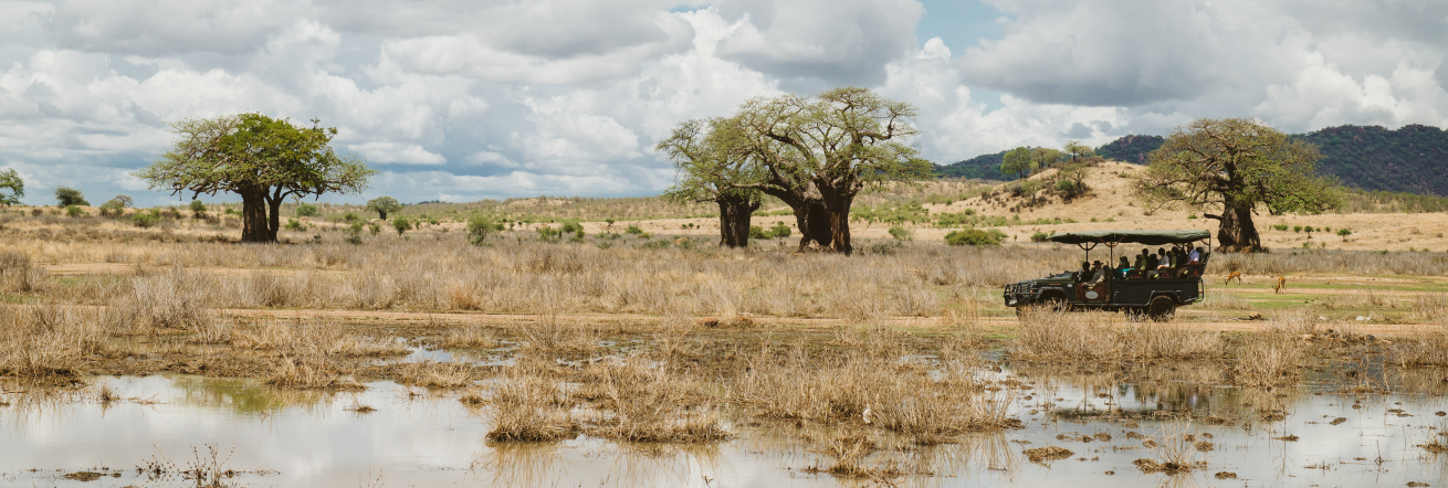 Ruaha National Park Scenery on safari with RUaha River Lodge