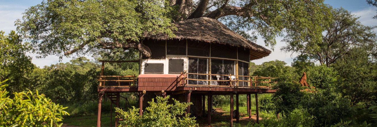Elewana Tarangire Treetops is set in amongst the Baobab trees