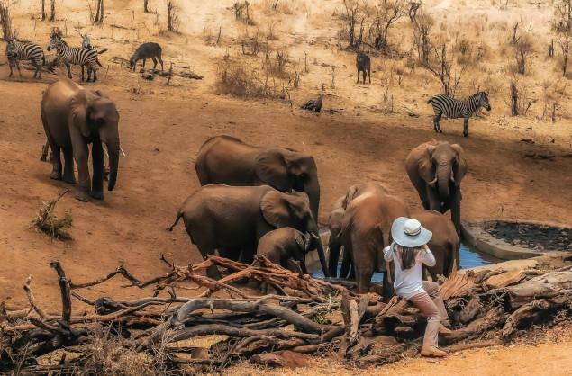 An incredible elephant sighting at one of the viewpoints by Elewana Tarangire Treetops