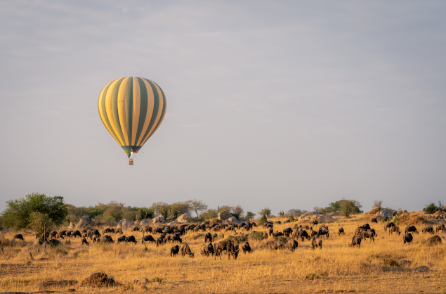 Hot air balloon ride over the beautiful Serengeti