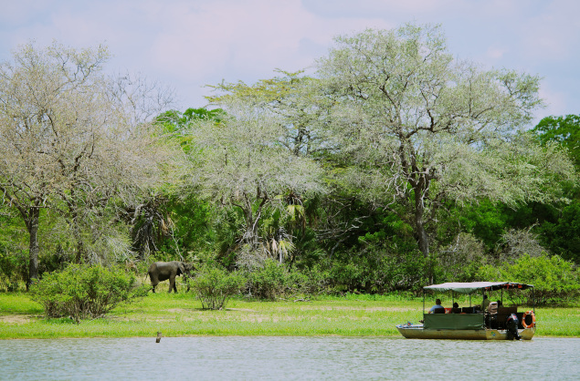 River cruises in southern Tanzania with Rufiji River Lodge