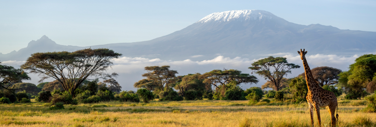 Tanzania is home to Africa's highest peak - Mount Kilimanjaro