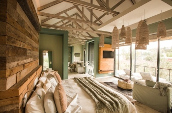 The Olive Exclusive, Windhoek, Namibia