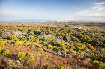 The landscapes in the Grootbos Nature Reserve