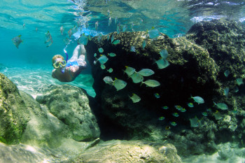 Snorkelling at Thonga Beach Lodge