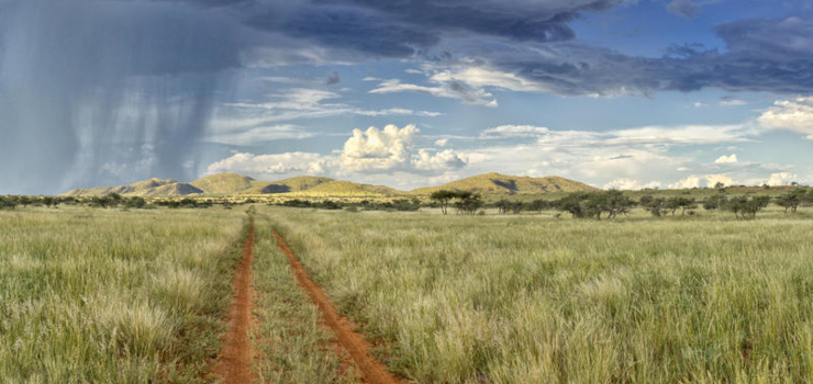 The Kalahari turning green during the rainy season - Tswalu Kalahari Reserve