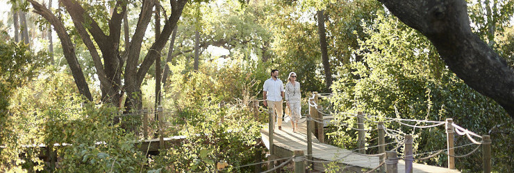  A romantic stroll on the walkways at the Island Treehouses at Victoria Falls River Lodge