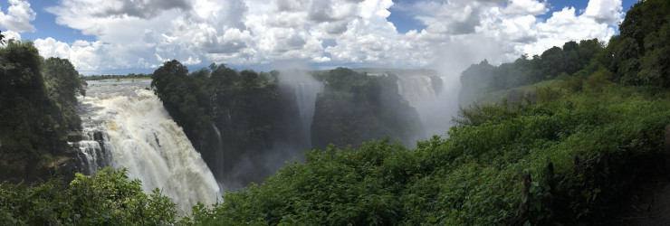 A walk through the rainforest surrounding the Victoria Falls