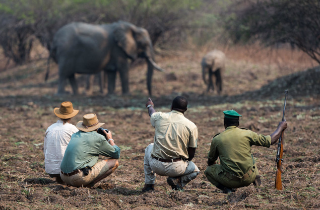 On a walking safari with Robin Pope Safaris