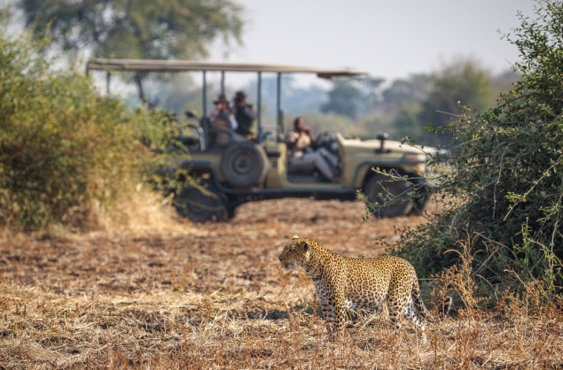 Game Drives at Nsefu Camp in the South Luangwa