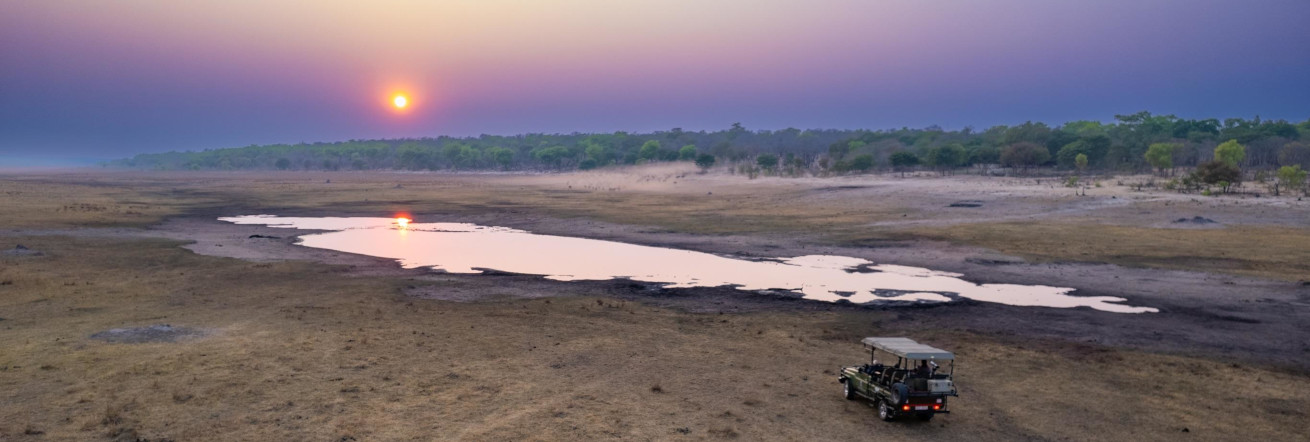 Sunset safari with Sable Alley Lodge in the Hwange National Park