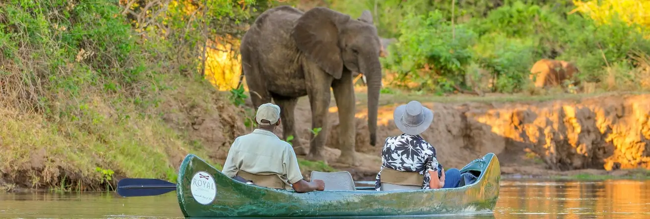 Canoeing along the Zambezi River with Royal Zambezi Lodge