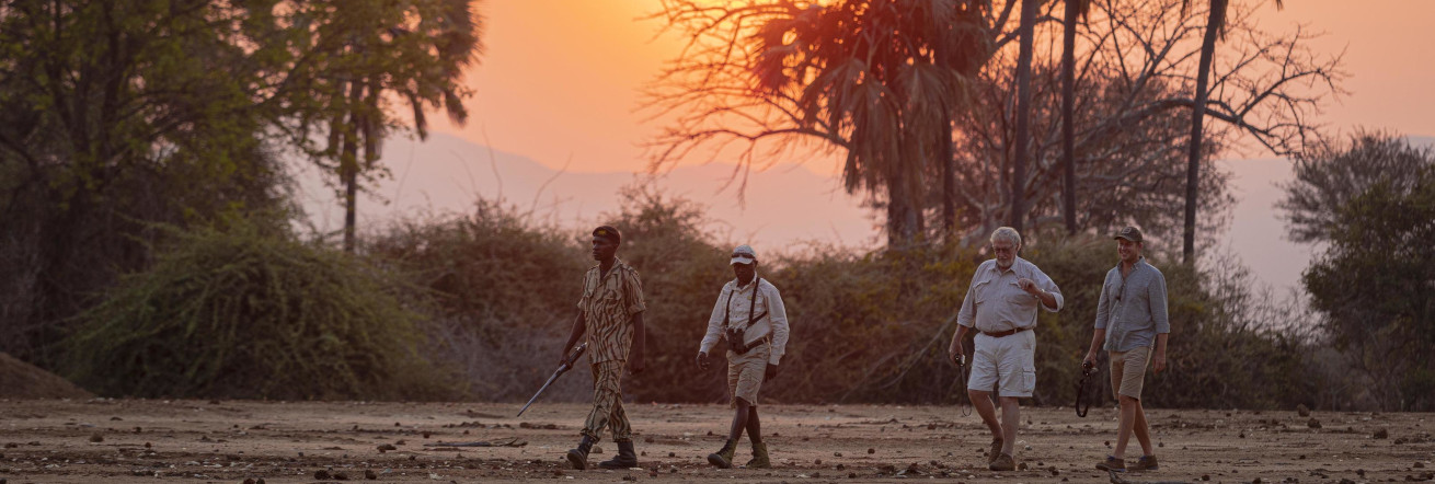 Walking safaris are a great way to explore the savannas of Zambia, Royal Zambezi Lodge