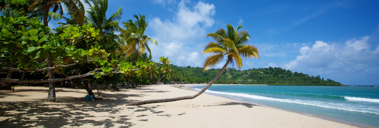 The beautiful white sandy beaches of Zanzibar