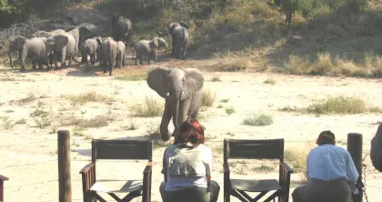 10 Day South Africa Self-Drive Tour